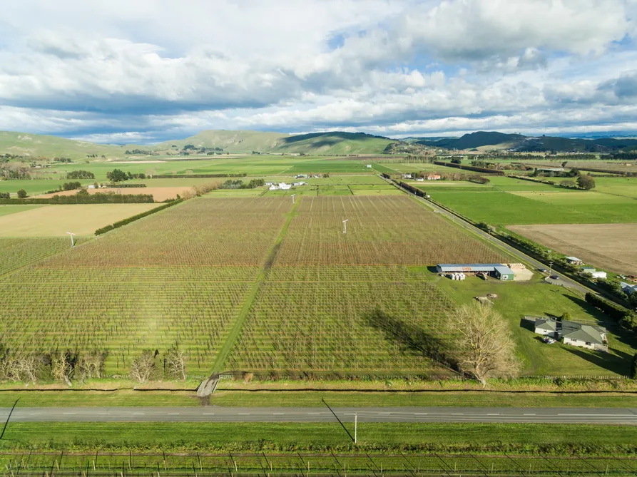 Orchard Or Lifestyle In Prime Location
