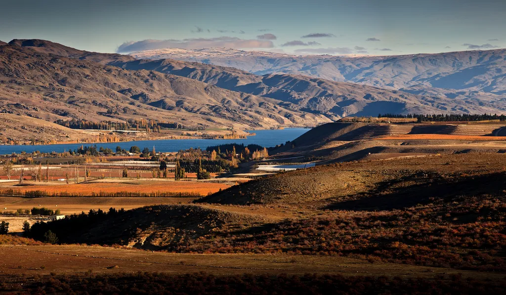 Premium Central Otago Viticulture and Olive Block 