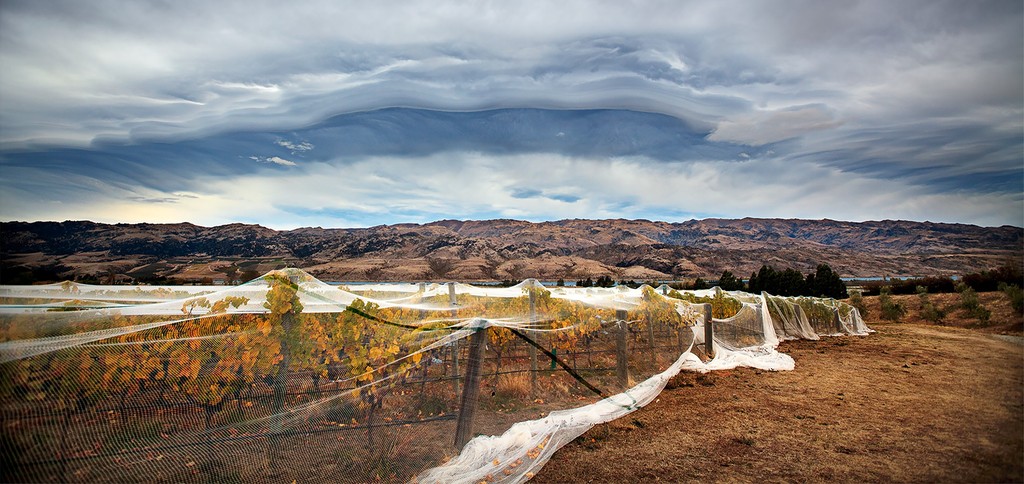 Premium Central Otago Viticulture and Olive Block 