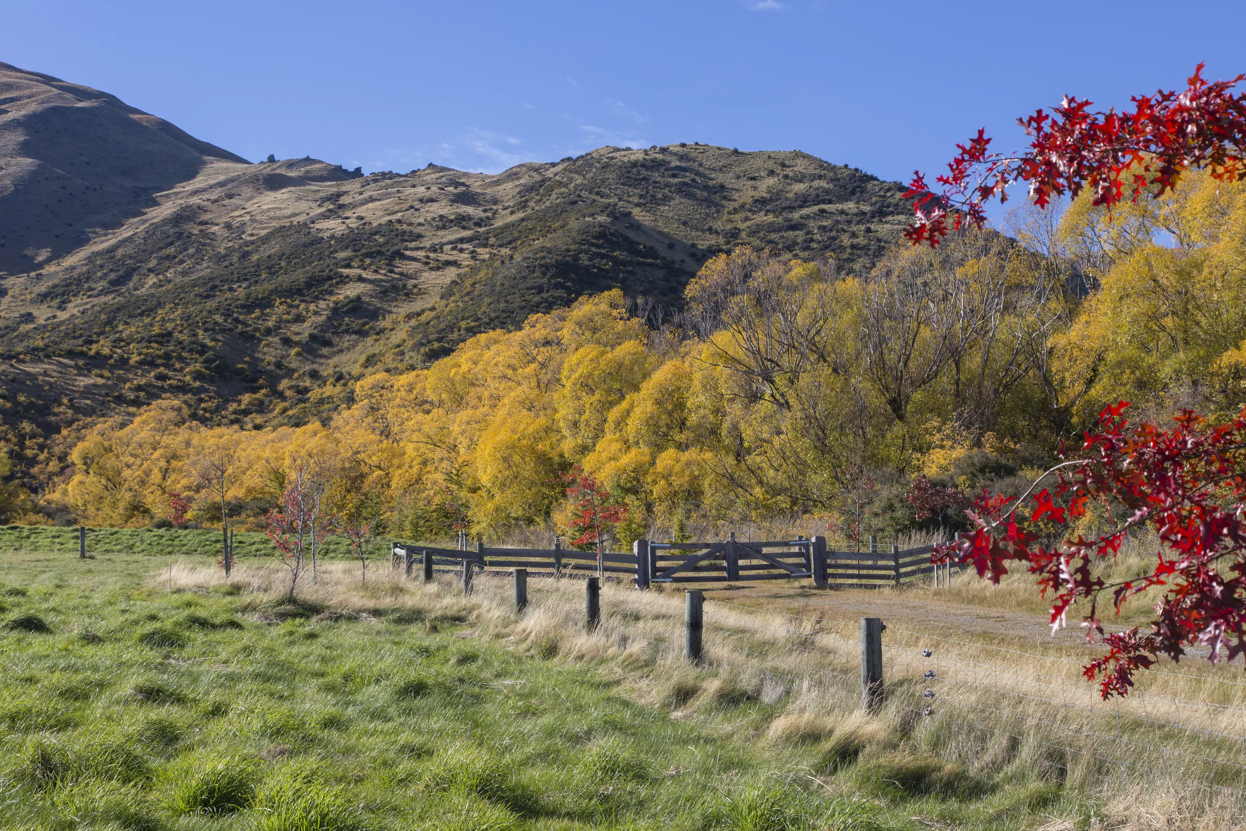 Lot 11, Glencoe Estates, Crown Terrace, Queenstown