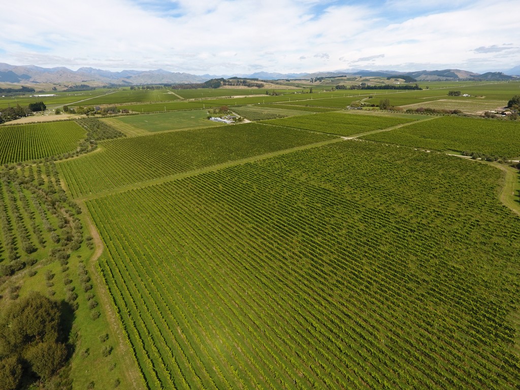 High Profile Vineyard Development Potential