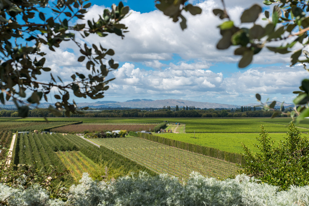Character Homestead, City Convenience