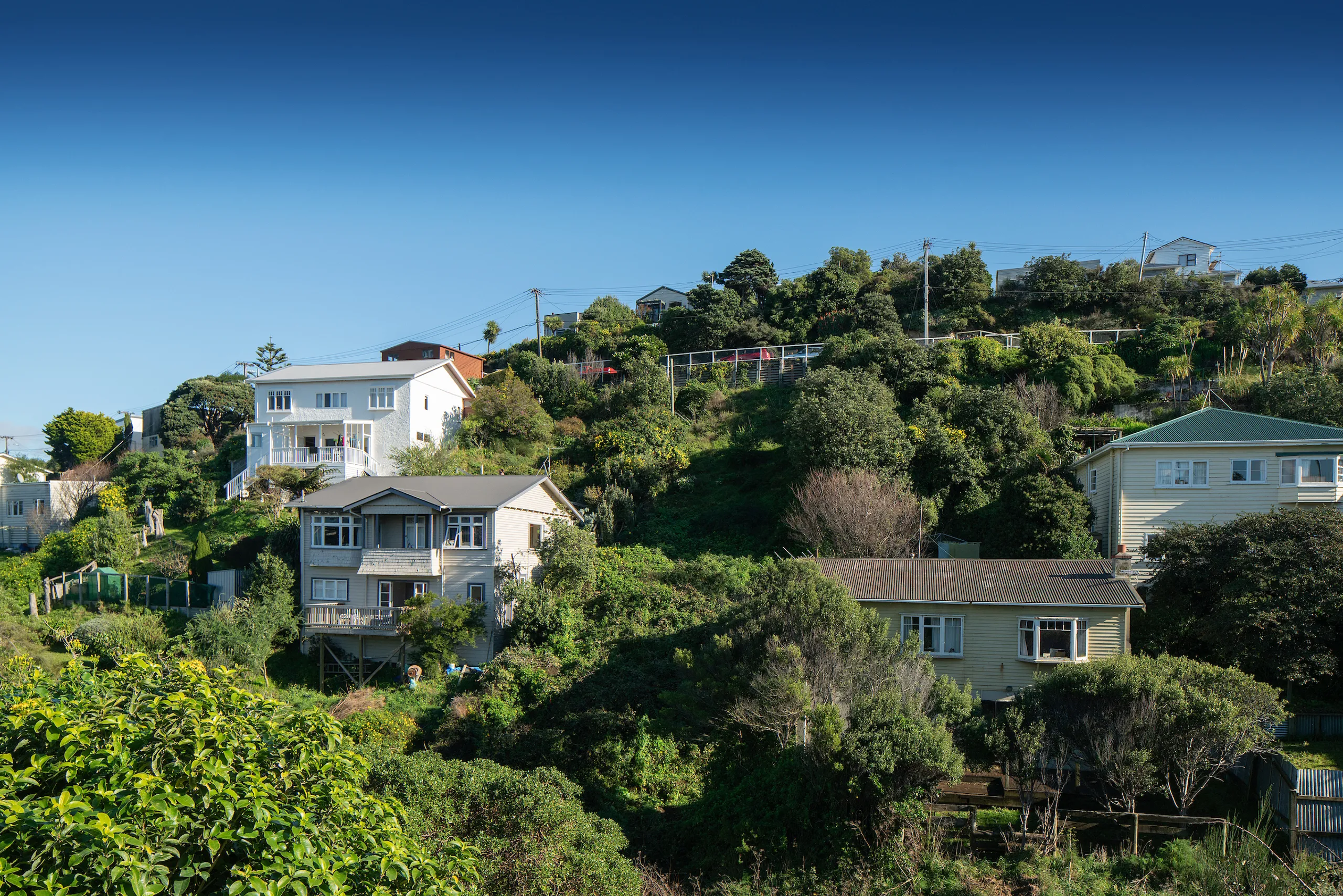 84 Maupuia Road, Maupuia, Wellington City