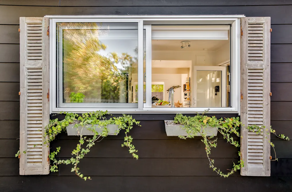 French Touch on Waiheke