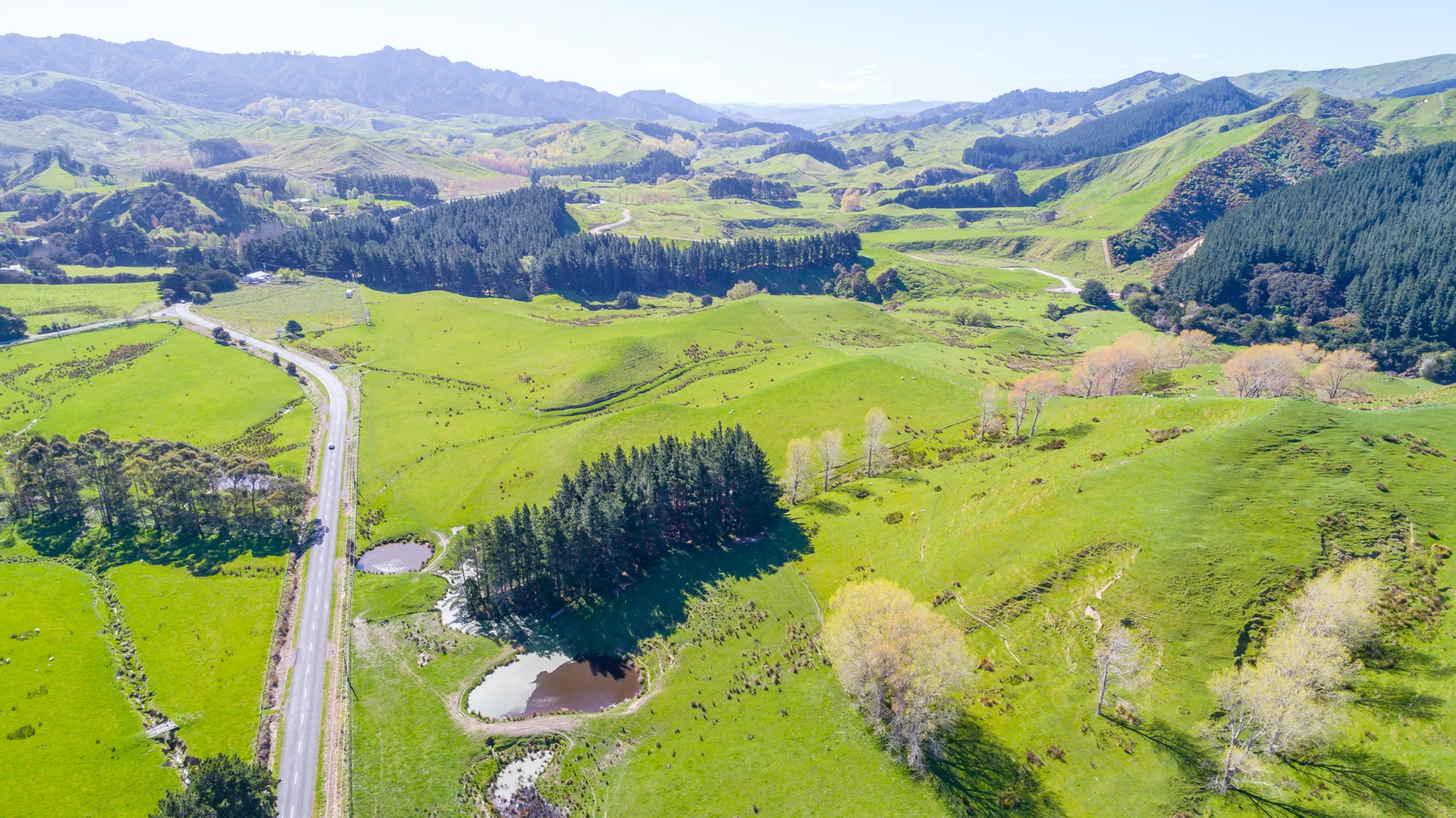 0 Riversdale Road, Riversdale Beach, Wairarapa