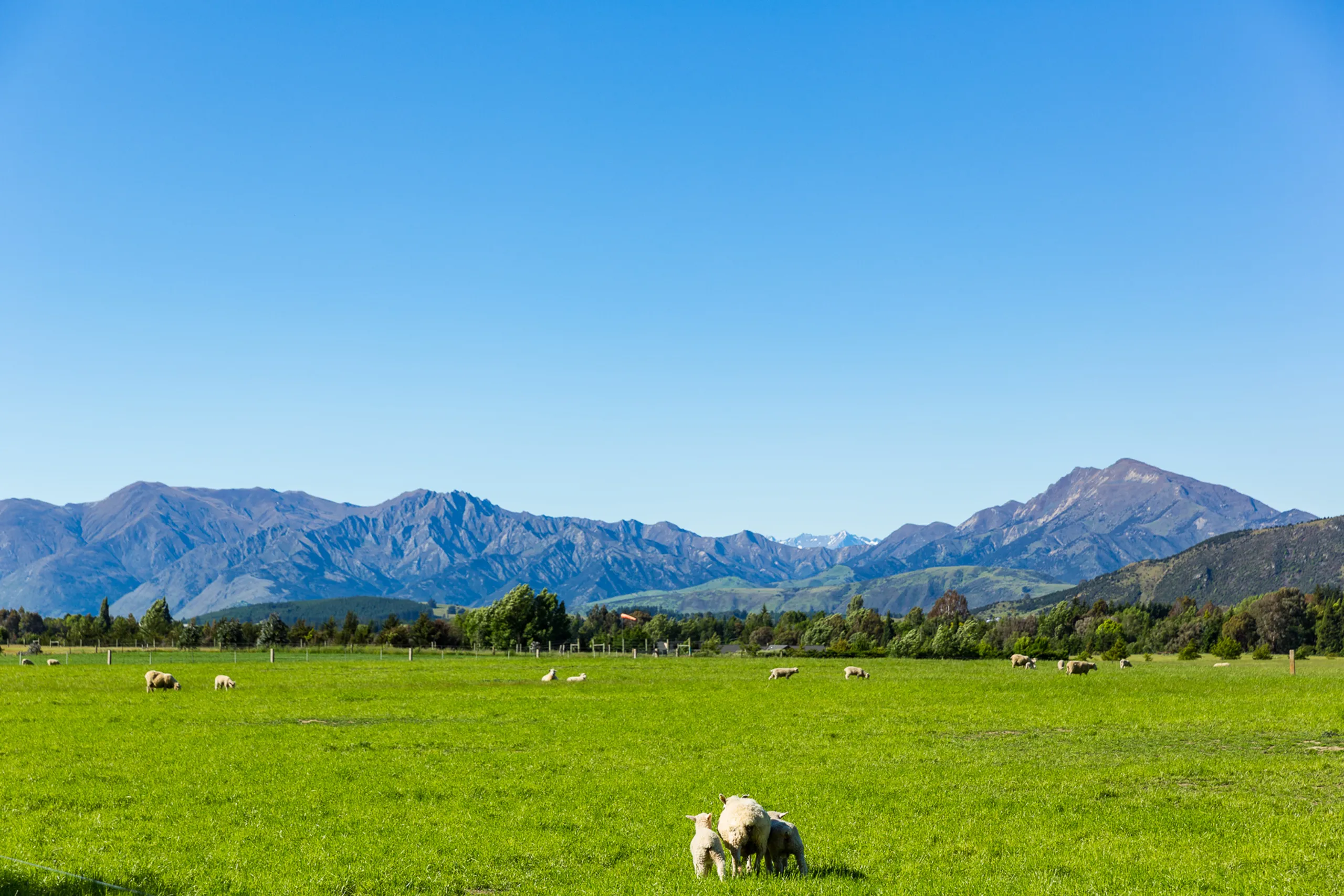 Lot 3 Hillend Estates, Wanaka, Central Otago