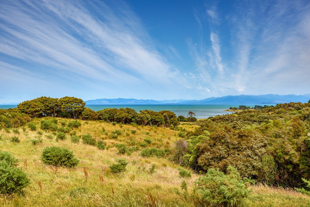 Elevated Coastal Block - Port Puponga