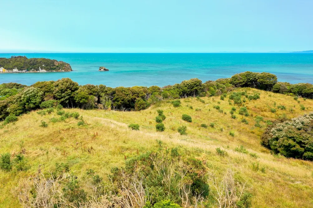Elevated Coastal Block - Port Puponga