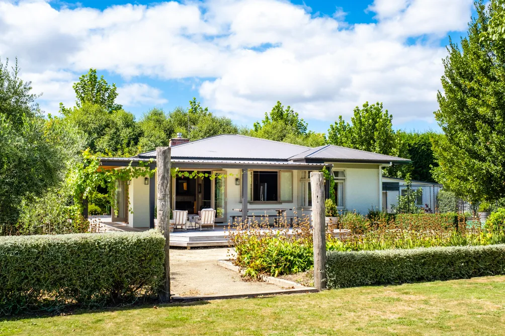 Boutique Vineyard 