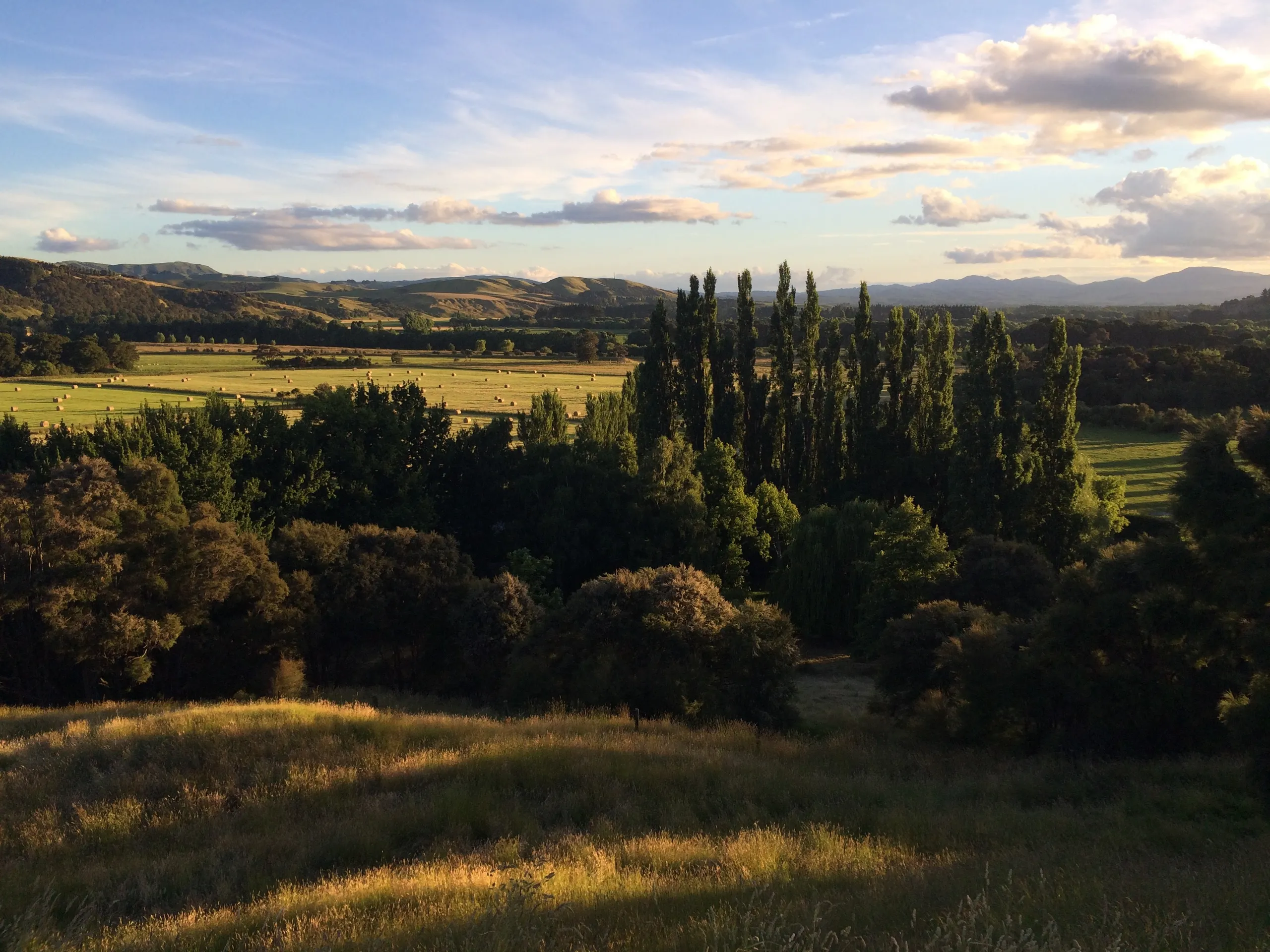 Glenmorven Road, Morison Bush, South Wairarapa