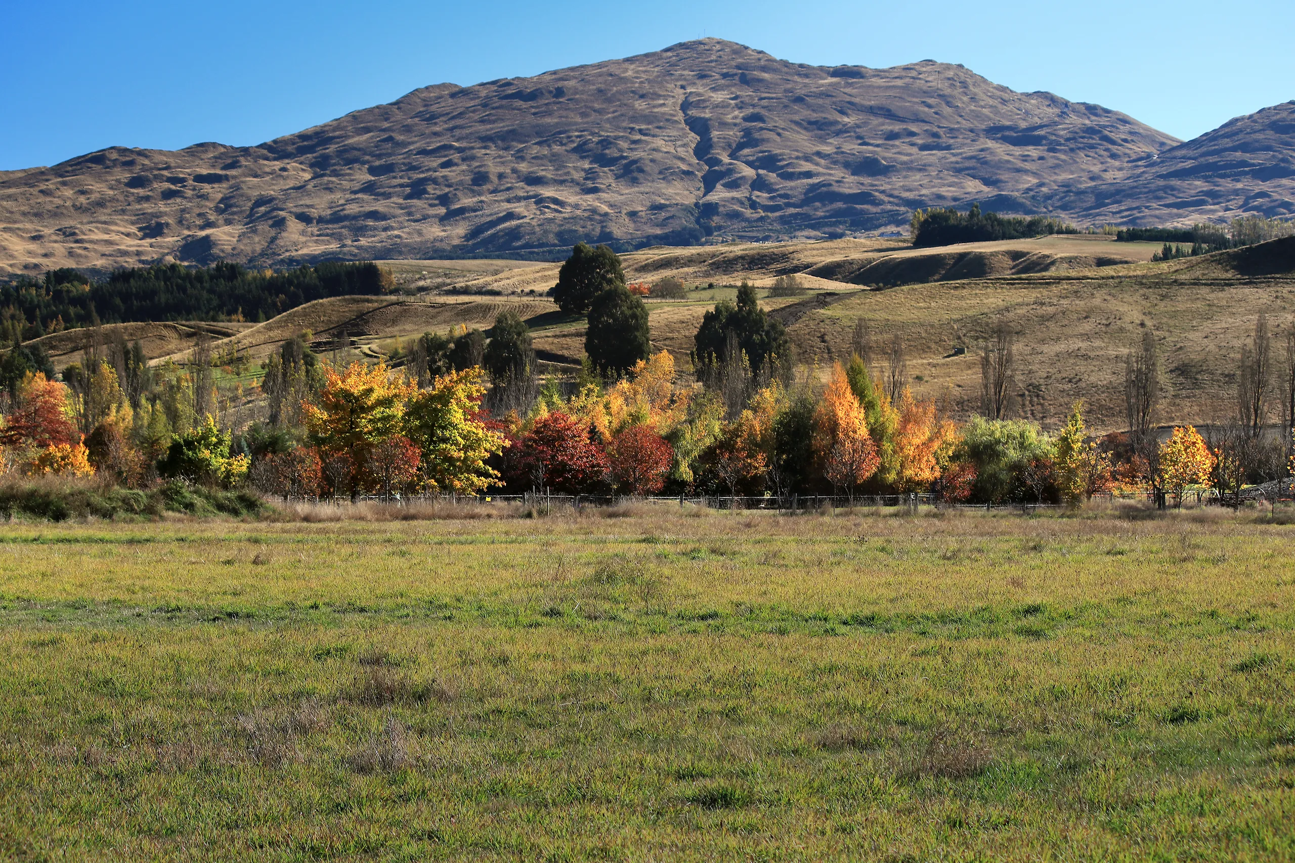 349 Lower Shotover Road, Speargrass Flat, Queenstown