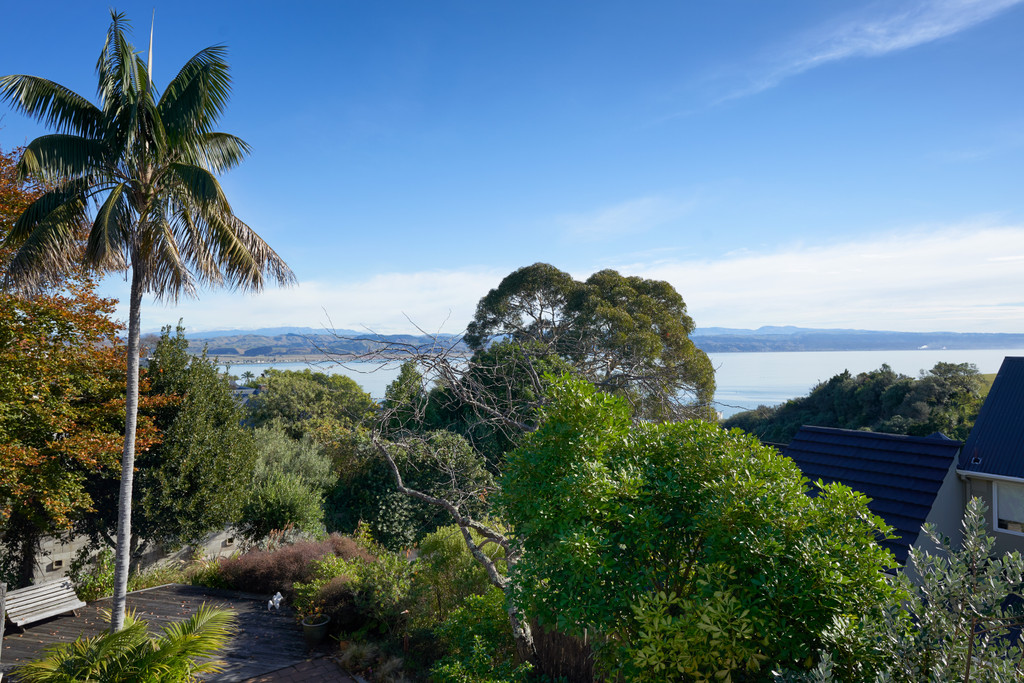 Privacy, Ocean Views And Sunshine