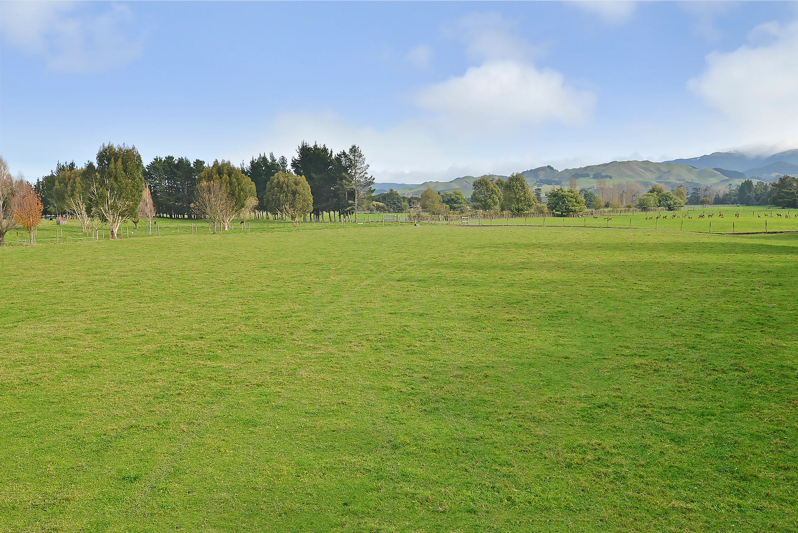 60F Skeets Road, Upper Plain, Masterton