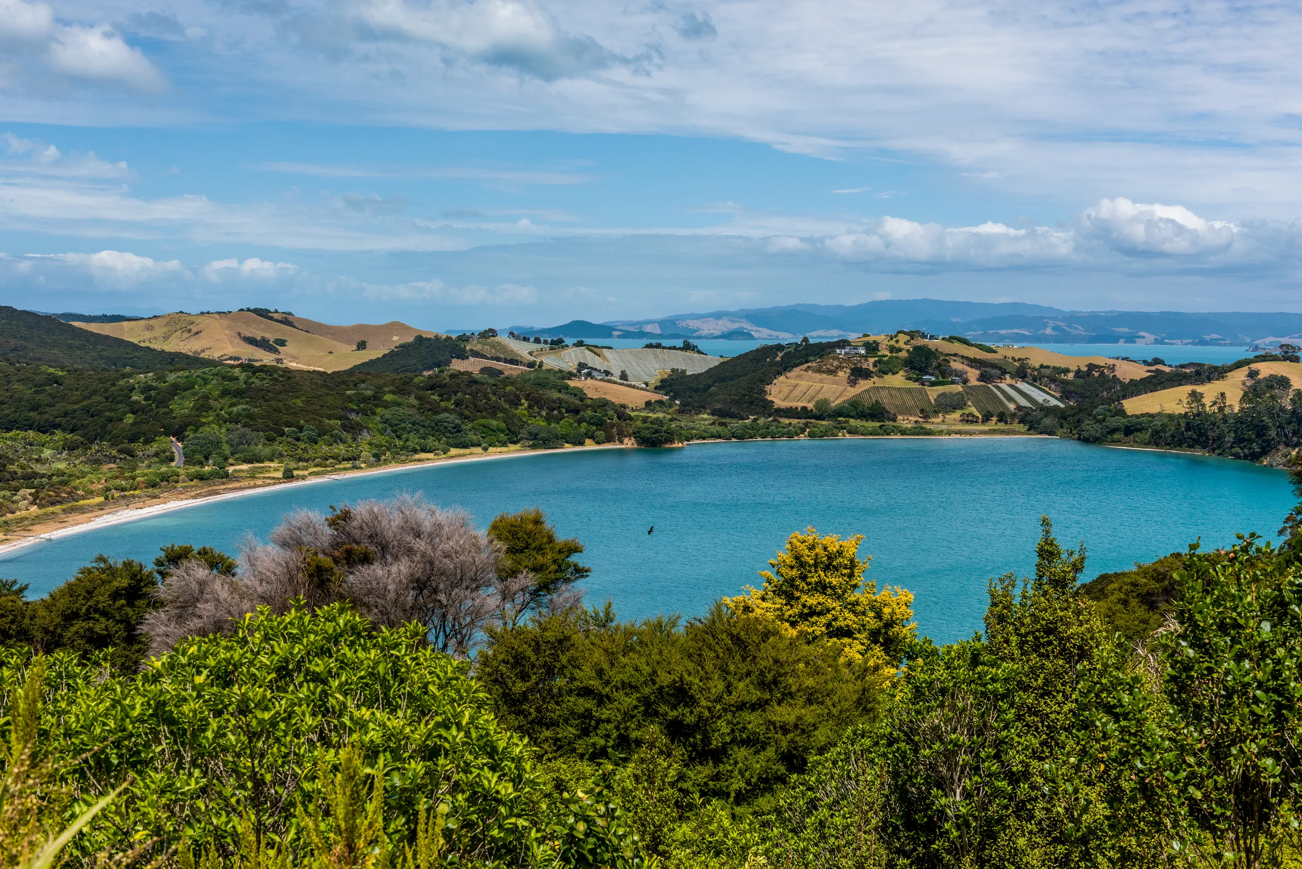 40 Fairview Crescent, Omiha, Waiheke Island