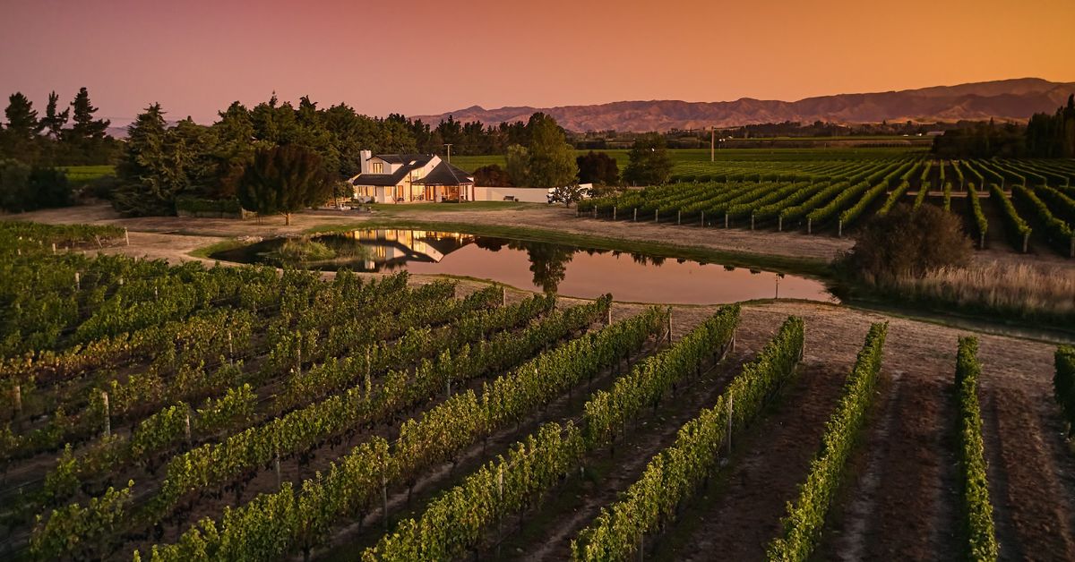 216 Bedford Road, Renwick, Marlborough NZ Sotheby’s Realty MAR10398