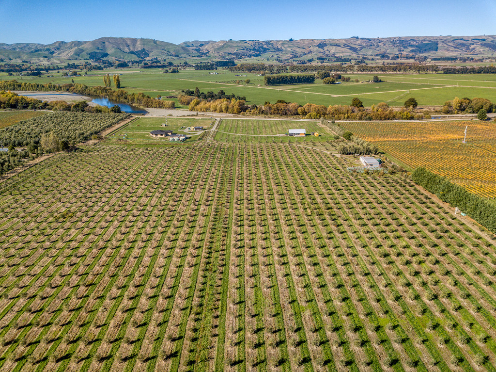 Lifestyle Business With Expansive Views