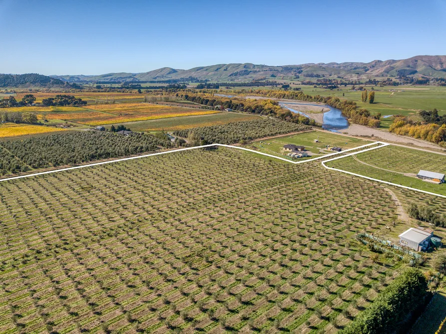 Lifestyle Business With Expansive Views