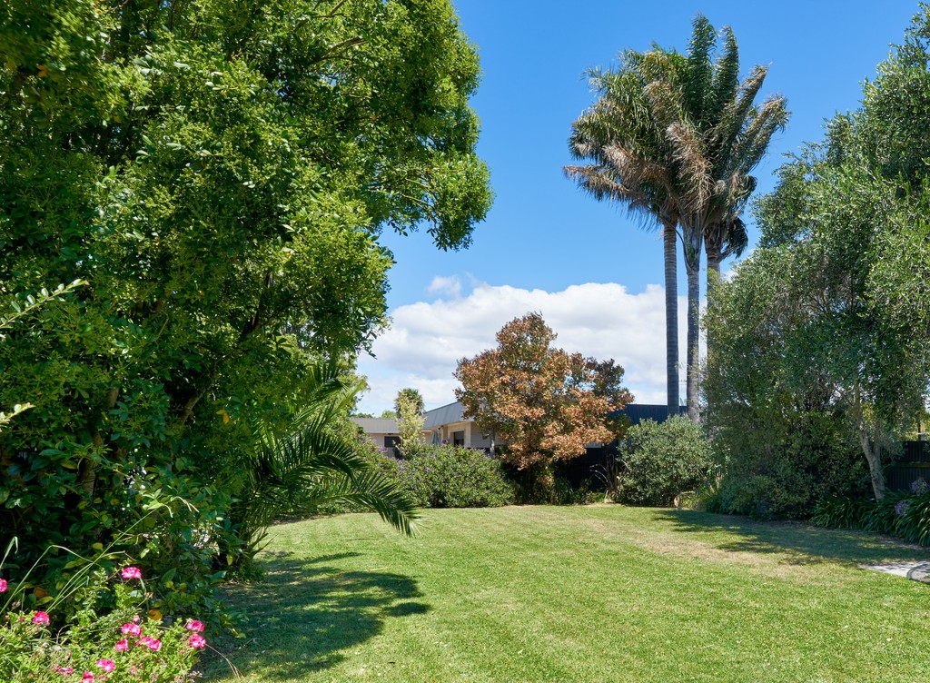 Great Buying In Napier South