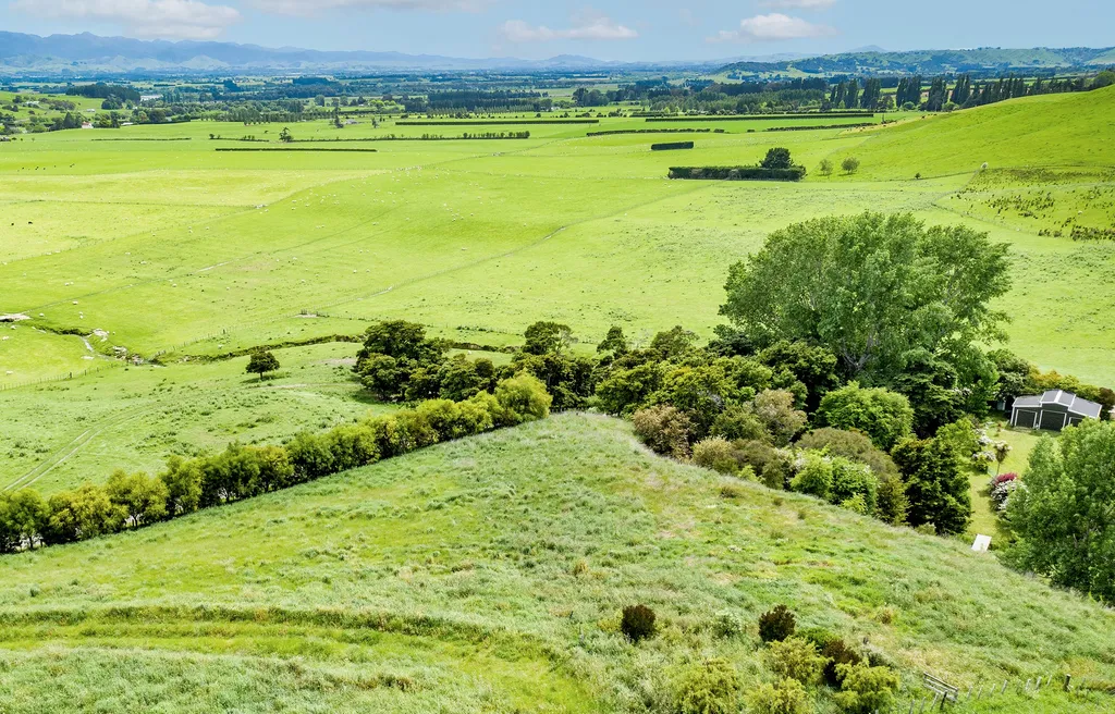 Black Barns - Options Abound