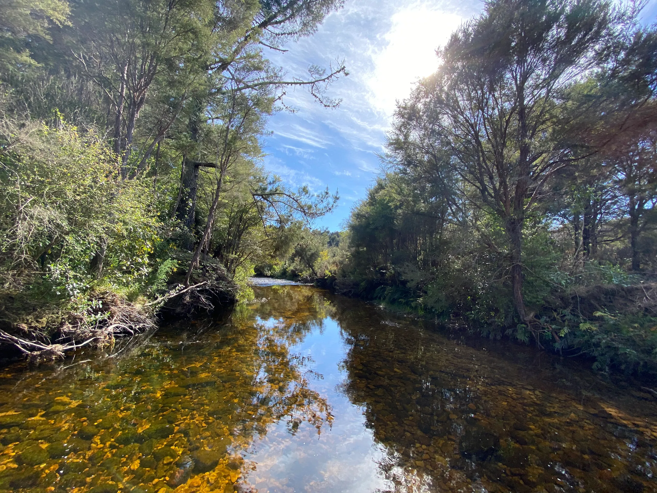 330 Takaka-Collingwood Highway, Puramahoi, Golden Bay