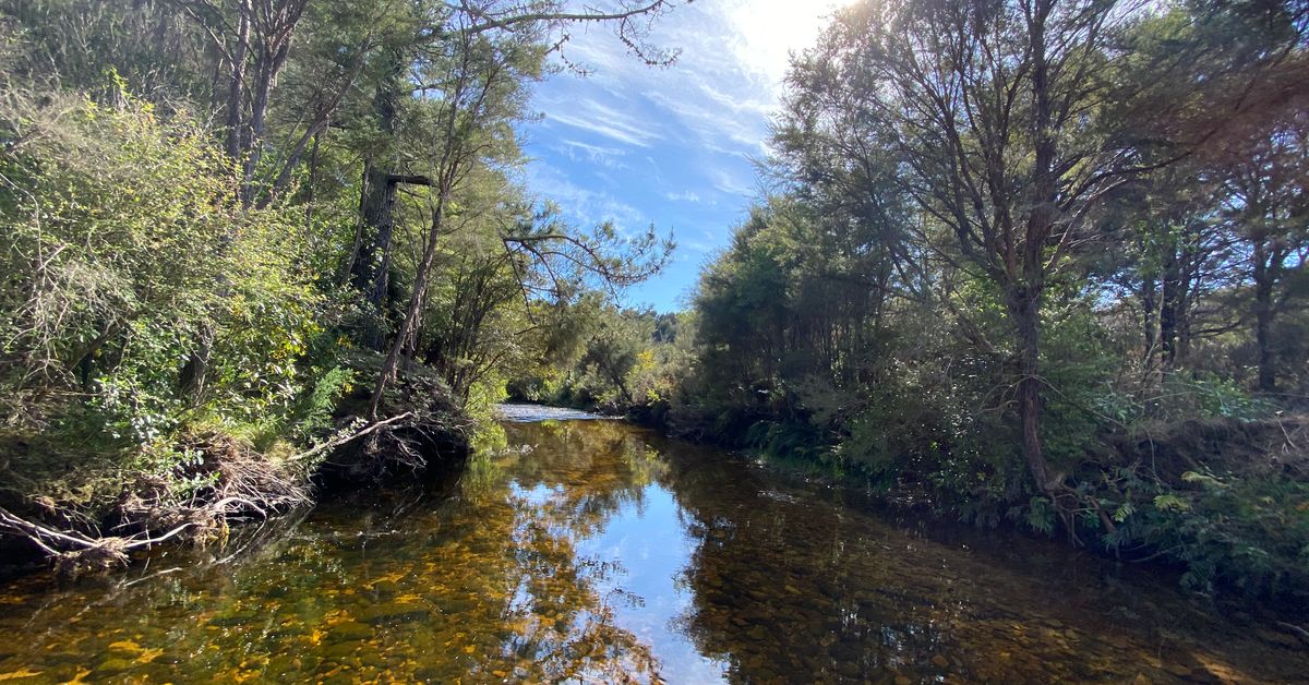 330 TakakaCollingwood Highway, Puramahoi, Golden Bay NZ Sotheby’s