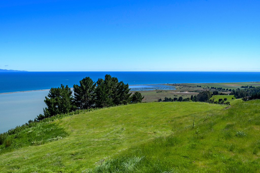 Simply Breath-taking Tasman Lifestyle