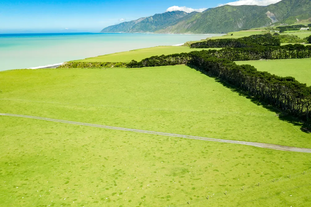 Stunning Ocean Beach!
