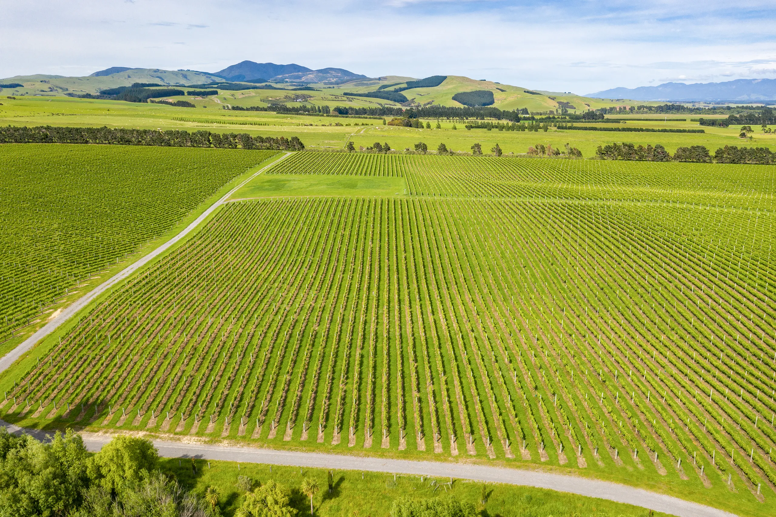 Lot 3 Willow Lane, Martinborough, South Wairarapa