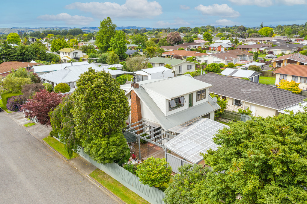 Your Bird Area Beauty