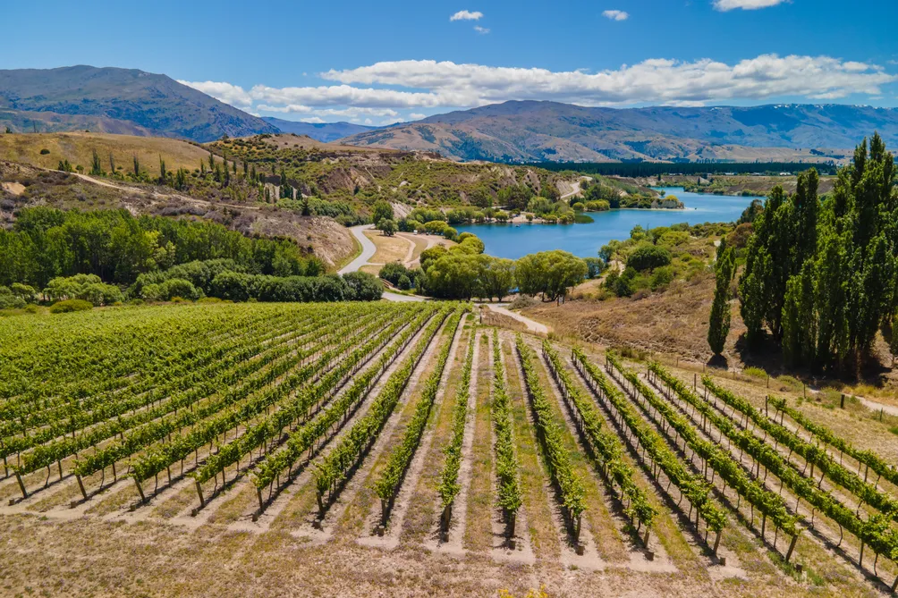 Quintessential Bannockburn - Rustic Charm & Views