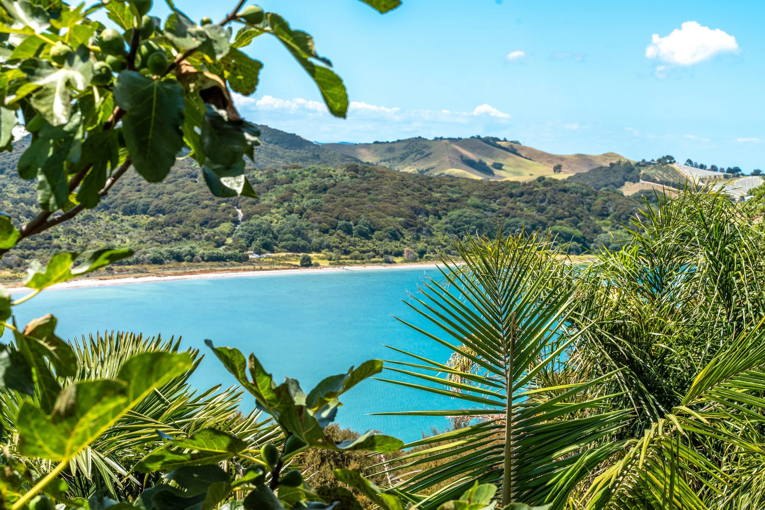 4 Bella Vista Road, Omiha, Waiheke Island