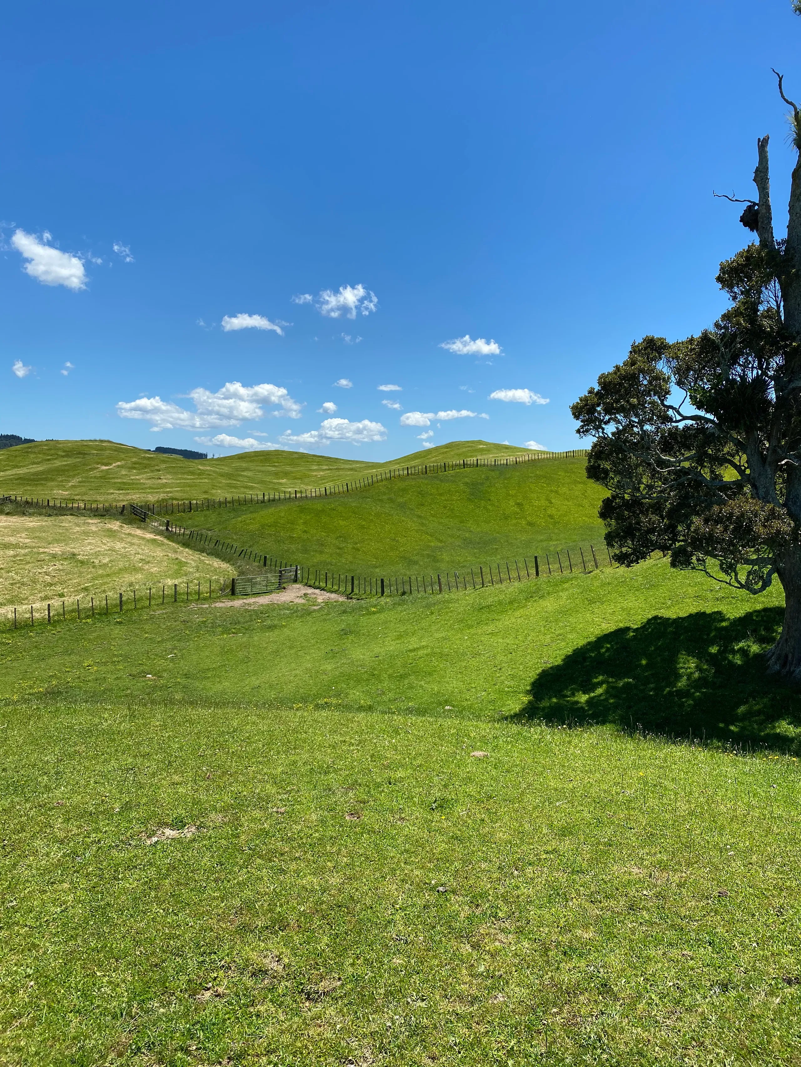 400A Paradise Valley Road, Ngongotaha Valley, Rotorua