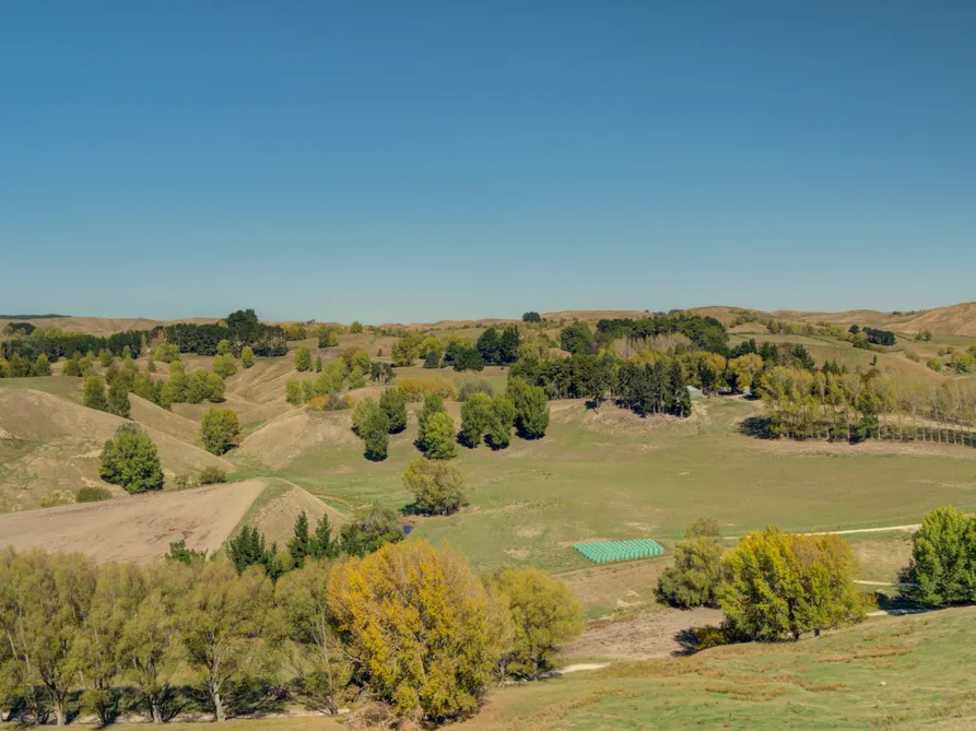 Hyfield - 330 ha (more or less)