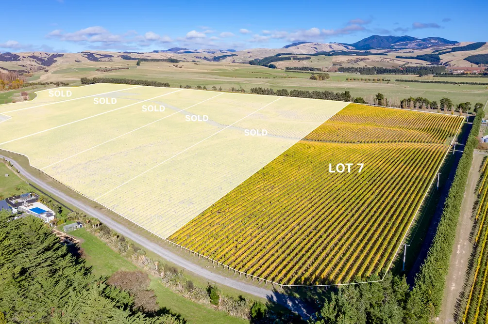 Don't Delay ... the Last of the Vineyard Lots