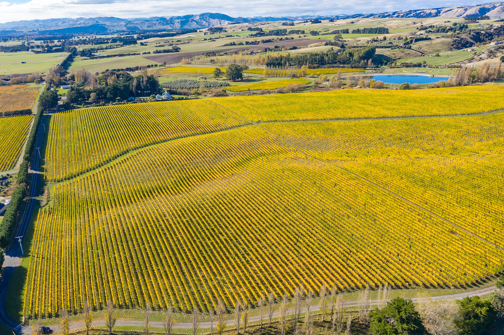 Don't Delay ... the Last of the Vineyard Lots