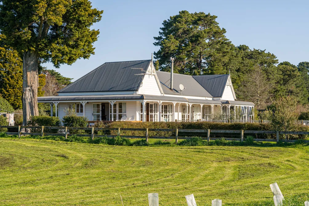 Contemporary Character on Kuratawhiti 