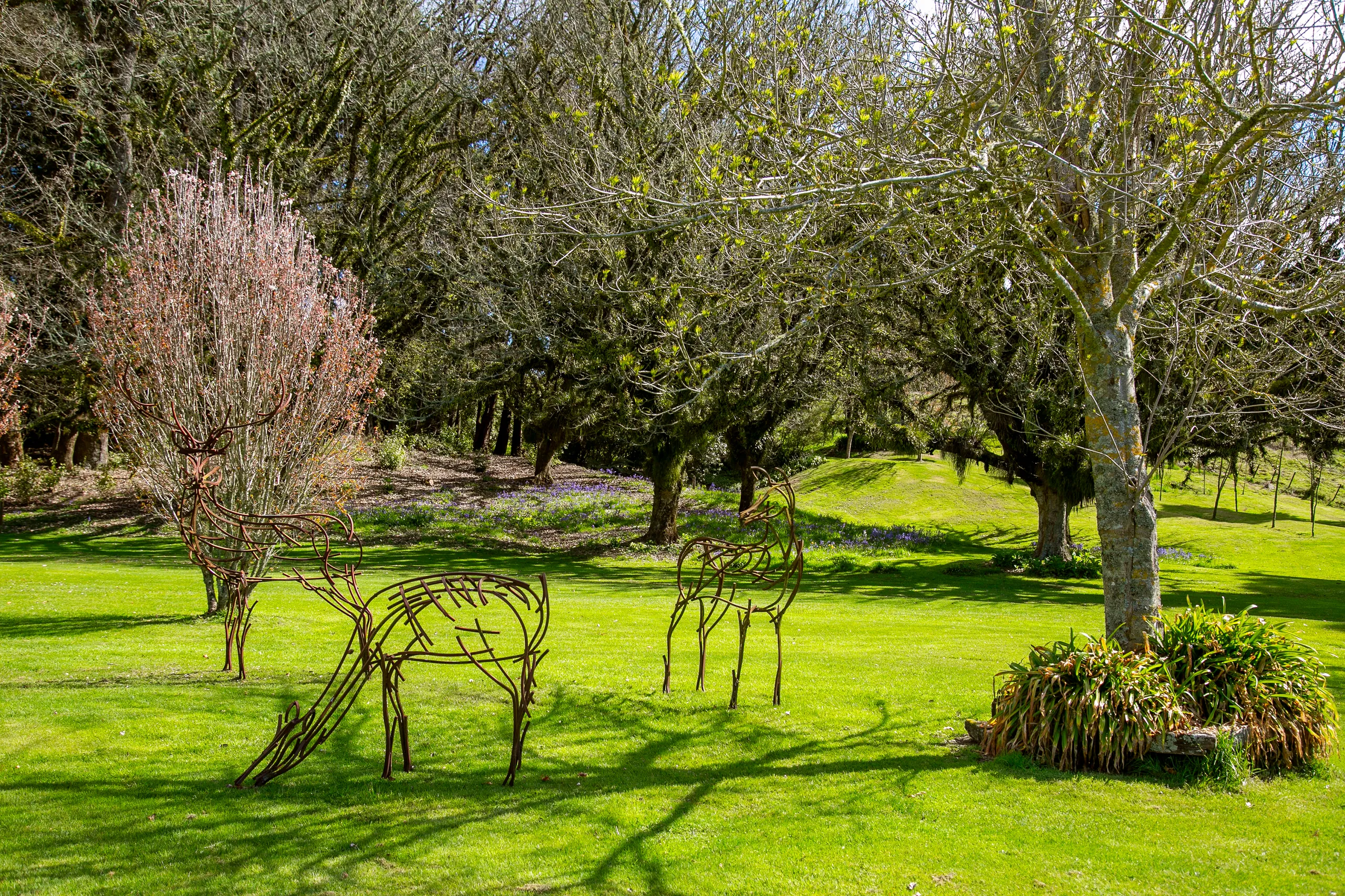 1585 Poihipi Road, Oruanui, Taupo