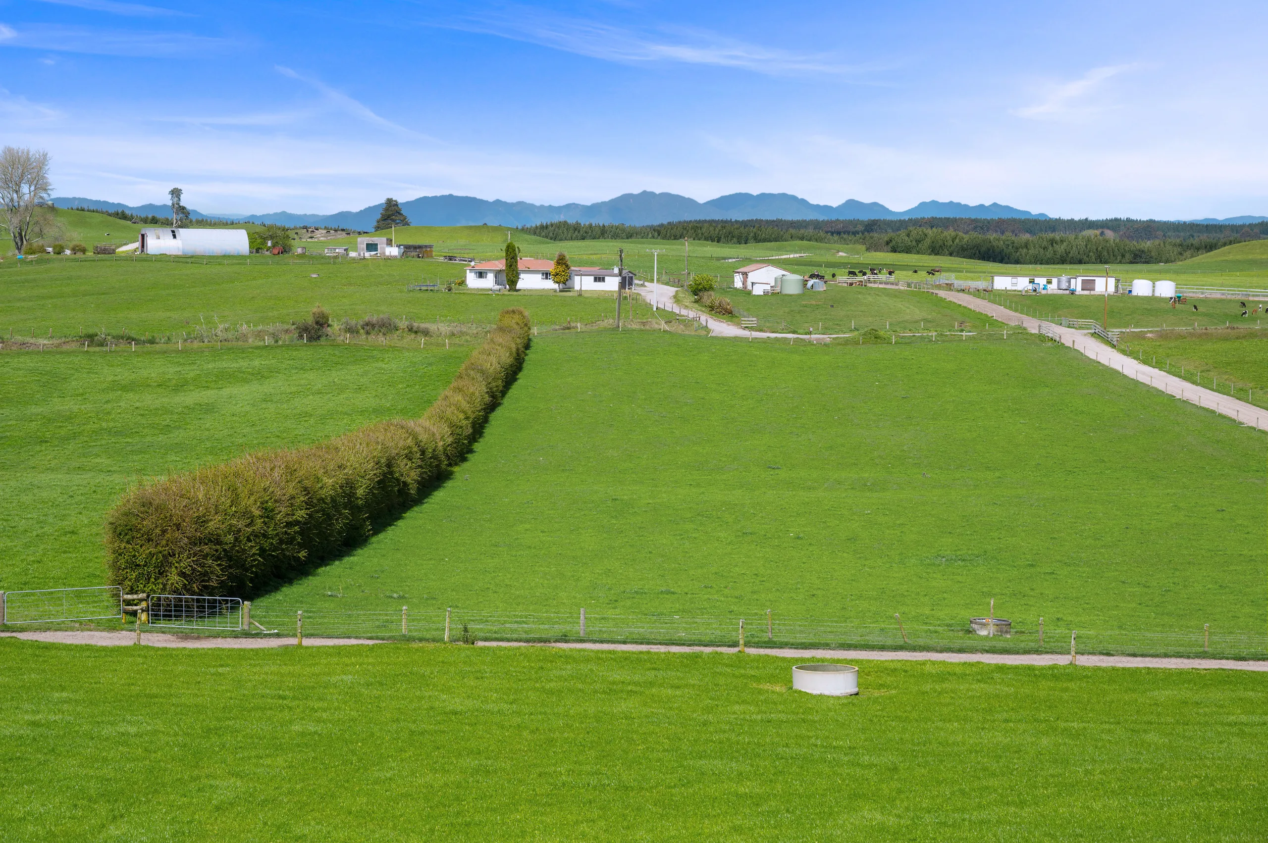 318 Gavin Road, Rerewhakaaitu, Rotorua