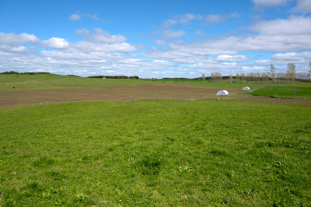 Rerewhakaaitu Dairy Support Block