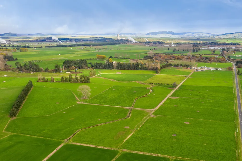 Deltabrooke Farm Limited, Reporoa