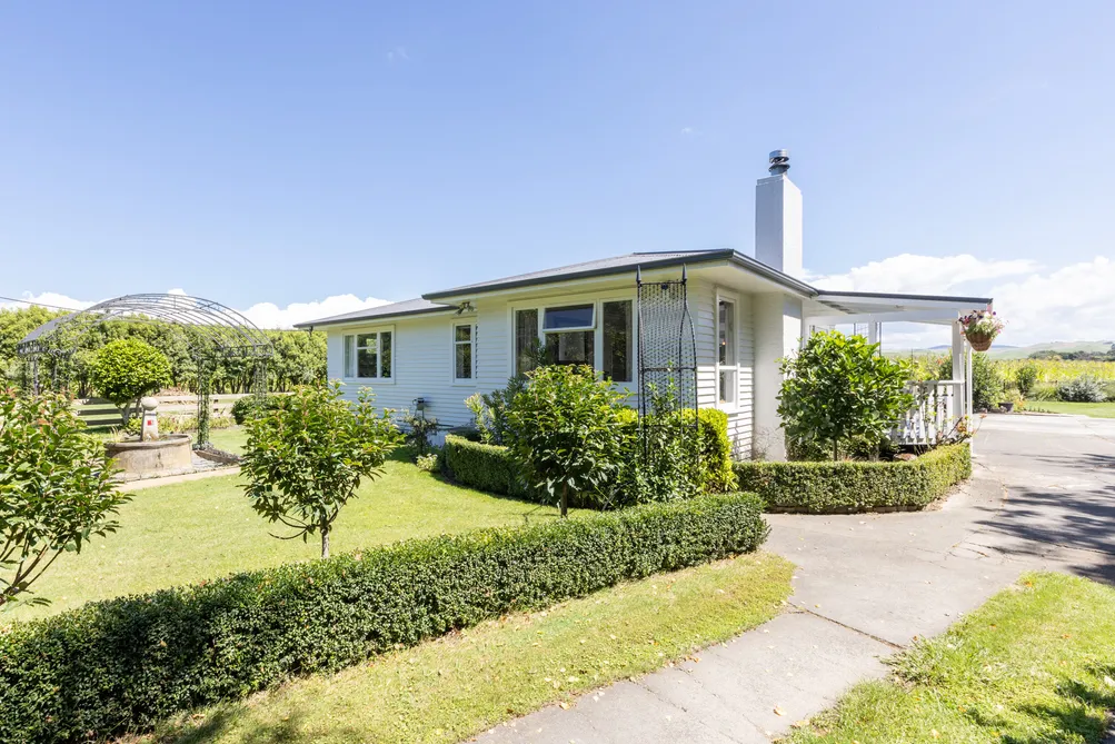 Sitting Pretty in Puketapu 