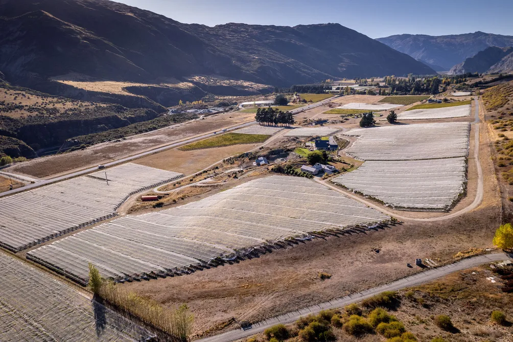 An Ultimate Lifestyle in the Valley 