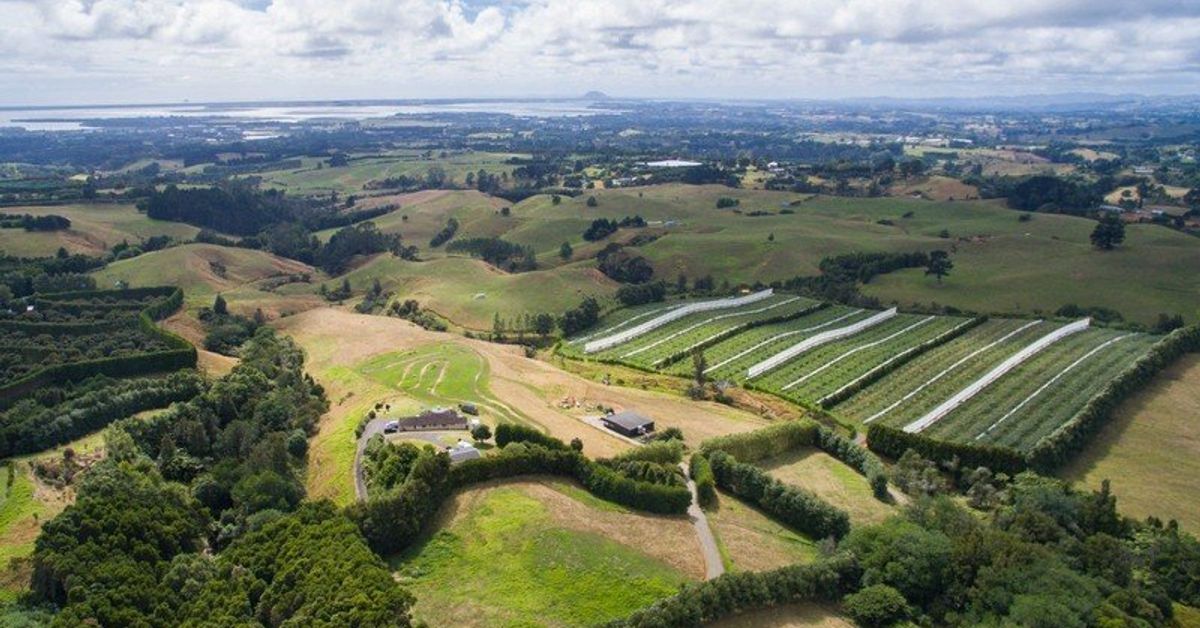 329C Thompsons Track, Aongatete, Western Bay Of Plenty NZ Sotheby’s