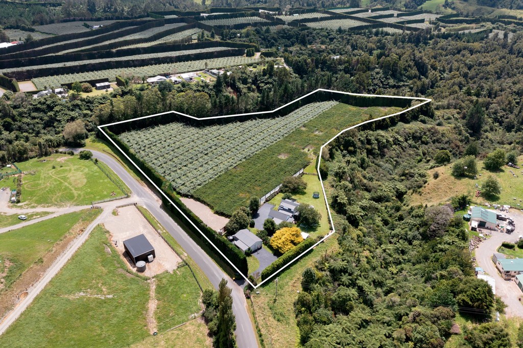 1090 No 3 Road, Te Puke, Western Bay Of Plenty NZ Sotheby’s Realty