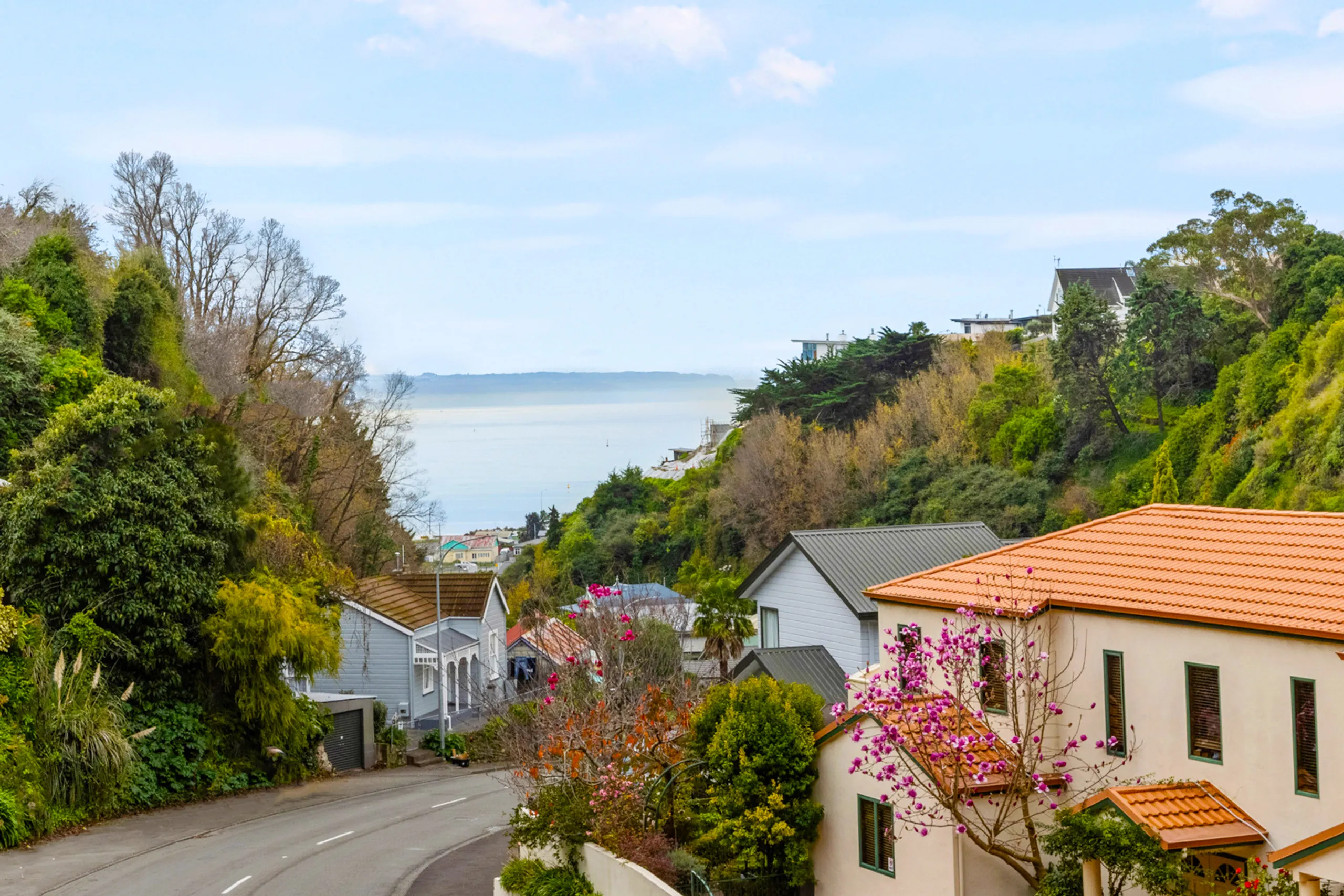 94 Milton Road, Bluff Hill, Napier