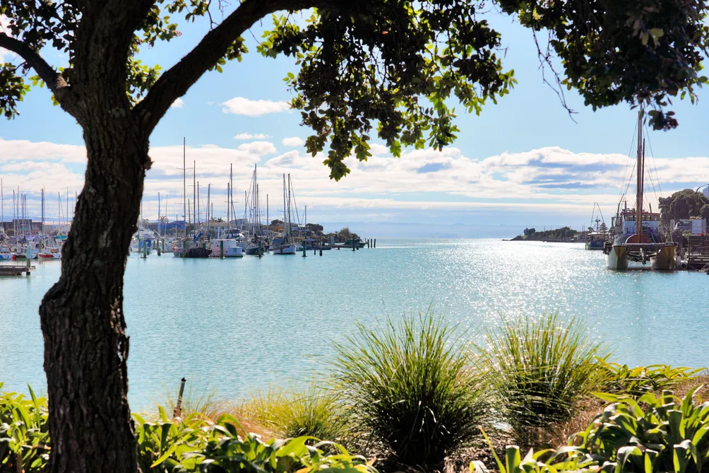 Motivated Vendors – Prime Ahuriri Living