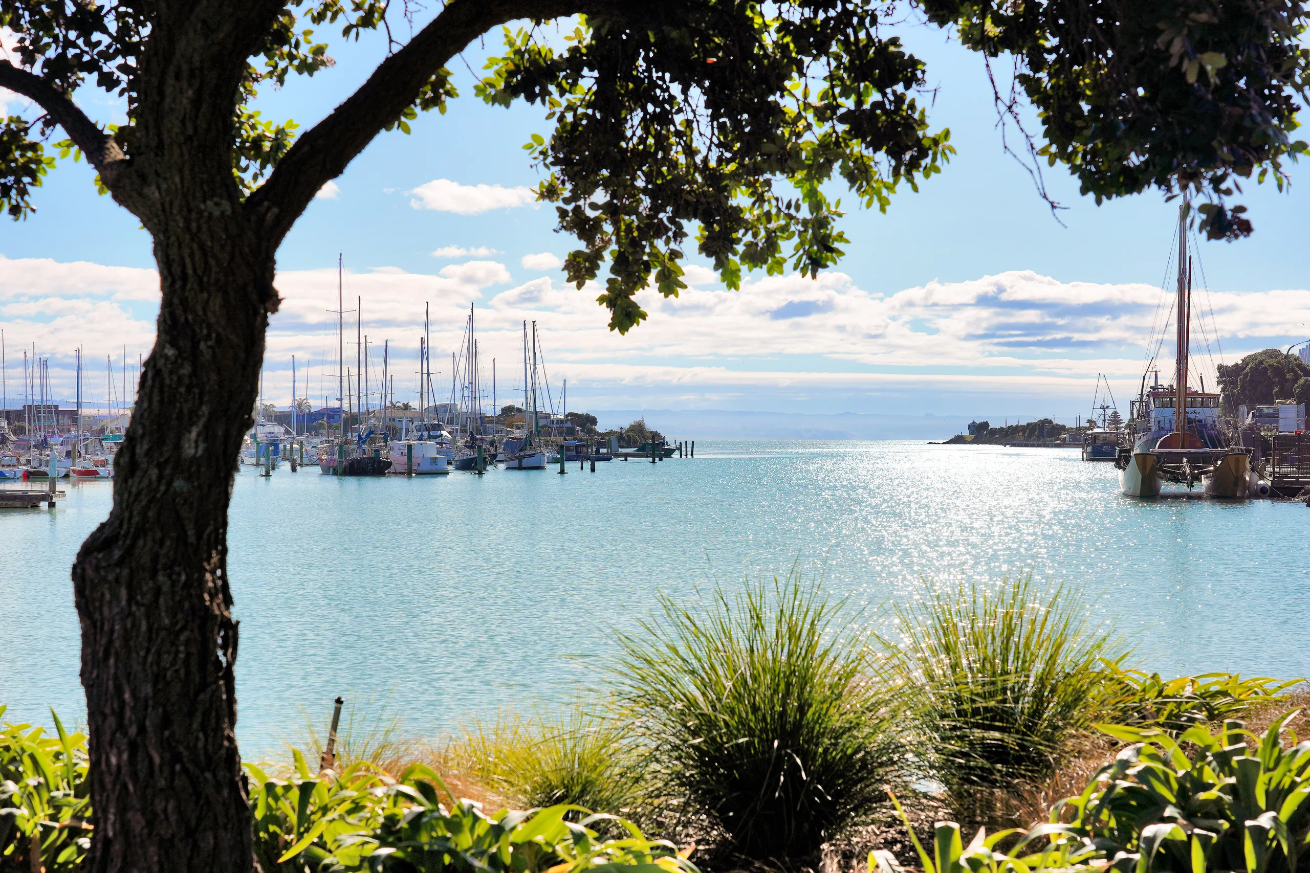102/14D West Quay, Ahuriri, Napier