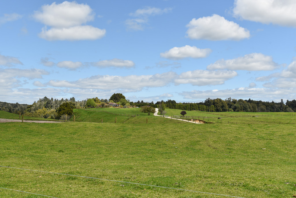 Dairy Farm / Horticulture