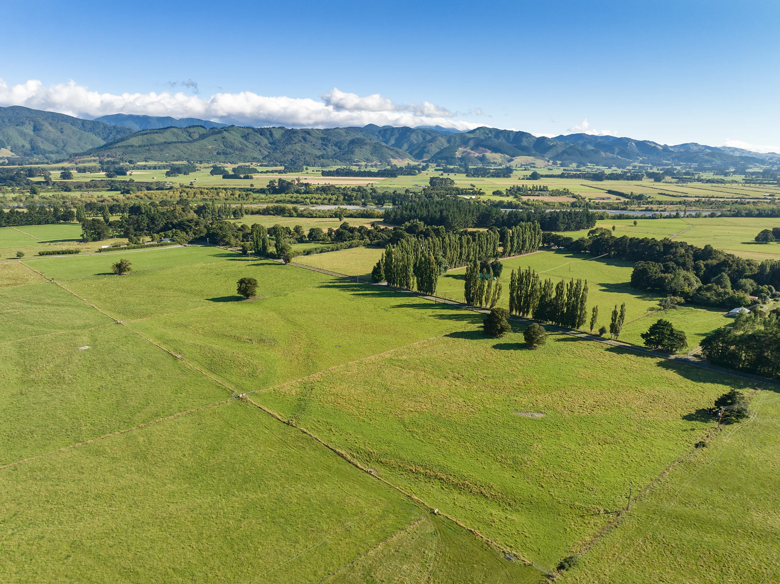 Lot 10 235 Wood Street, Greytown, South Wairarapa