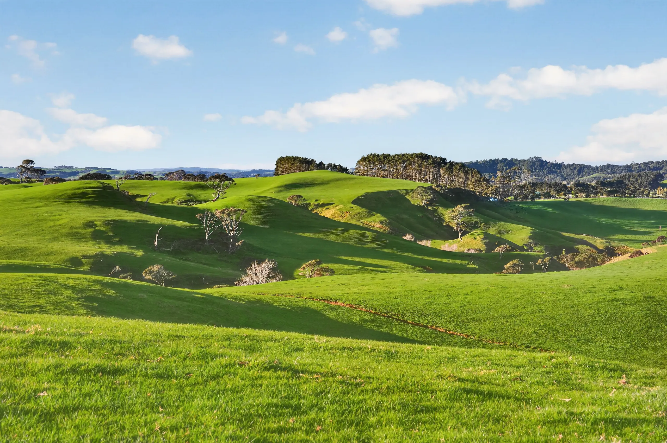 55 Coster Road, Muriwai, Rodney